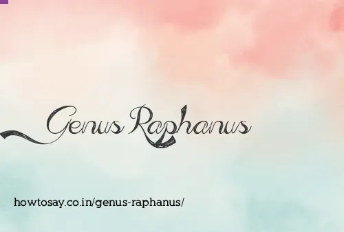 Genus Raphanus
