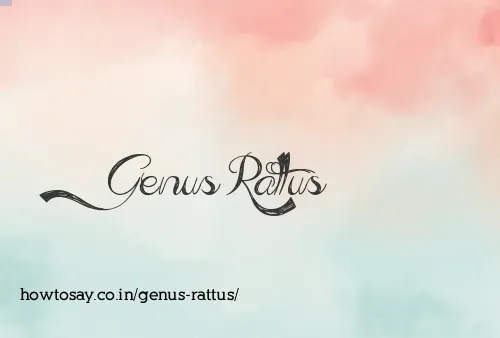 Genus Rattus