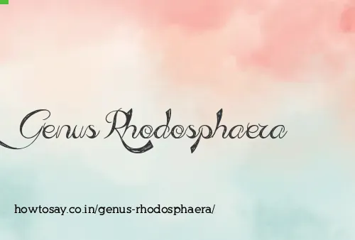 Genus Rhodosphaera