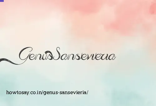 Genus Sansevieria