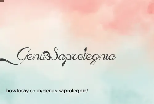 Genus Saprolegnia