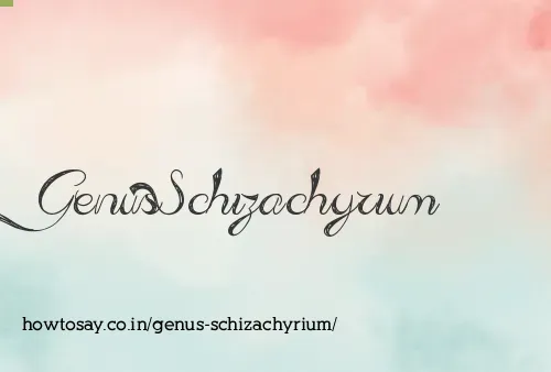 Genus Schizachyrium