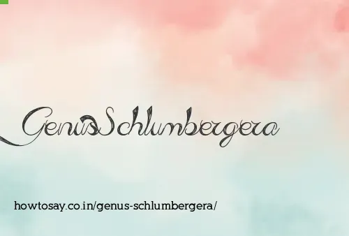 Genus Schlumbergera