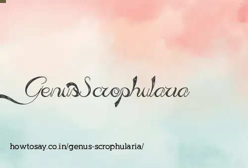 Genus Scrophularia