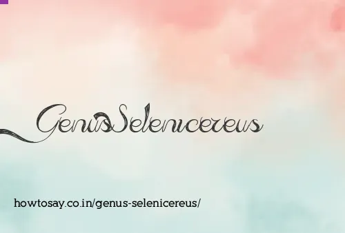 Genus Selenicereus