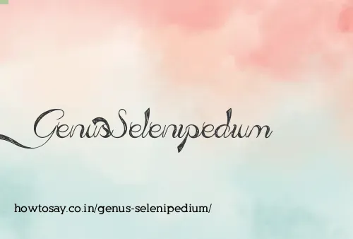 Genus Selenipedium