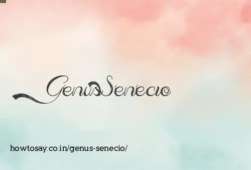 Genus Senecio