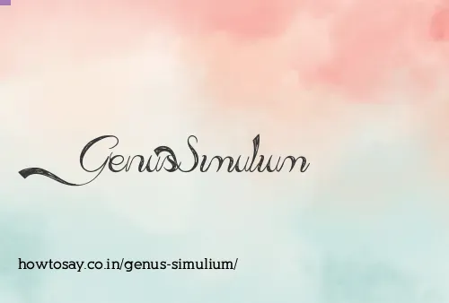 Genus Simulium