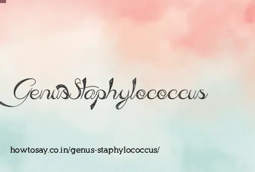 Genus Staphylococcus