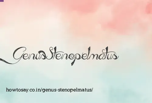 Genus Stenopelmatus