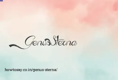 Genus Sterna
