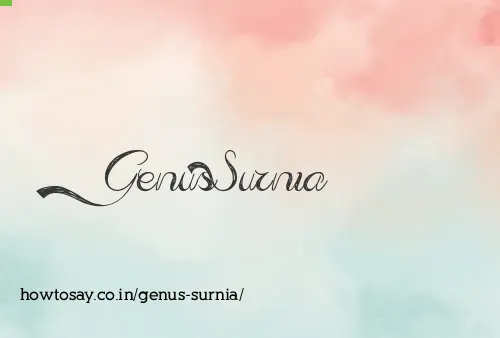 Genus Surnia
