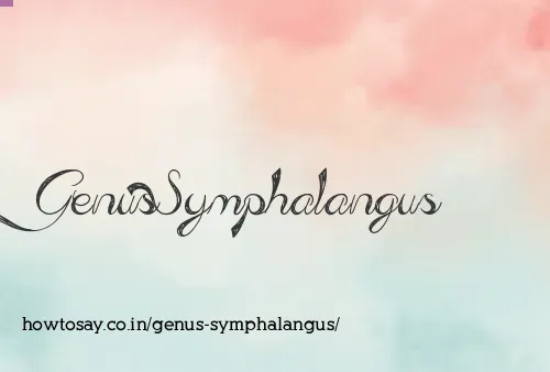 Genus Symphalangus