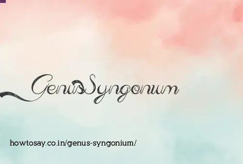 Genus Syngonium