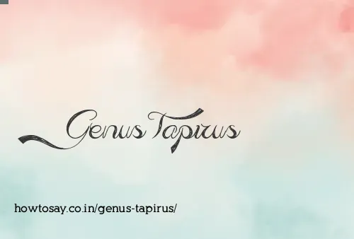 Genus Tapirus