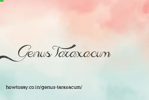Genus Taraxacum