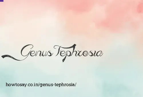 Genus Tephrosia