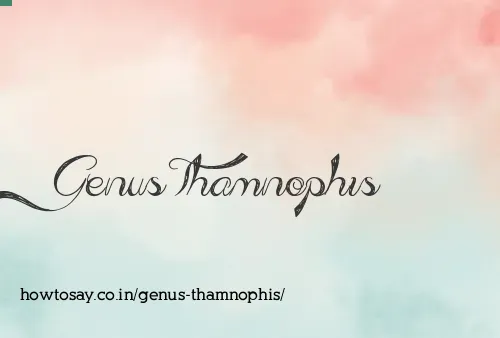 Genus Thamnophis