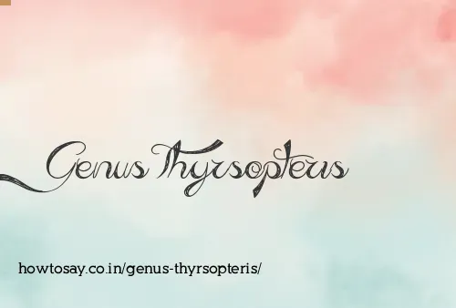 Genus Thyrsopteris