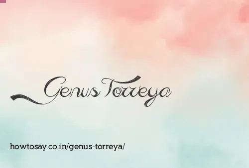 Genus Torreya