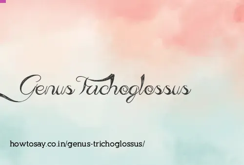 Genus Trichoglossus
