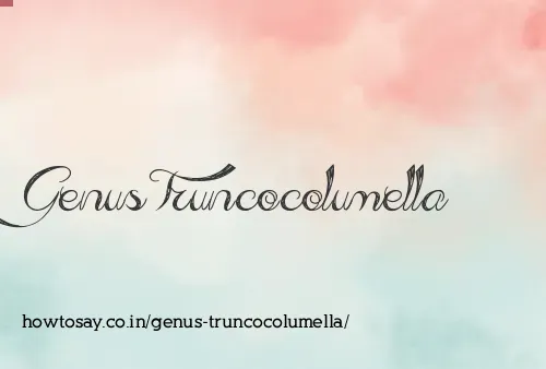 Genus Truncocolumella
