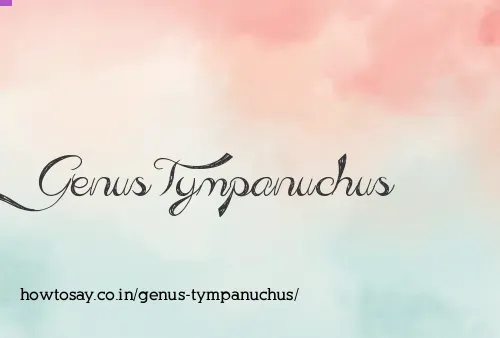 Genus Tympanuchus