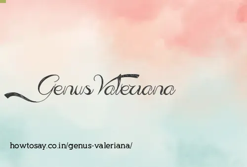 Genus Valeriana