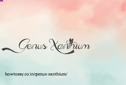 Genus Xanthium