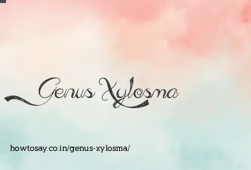 Genus Xylosma