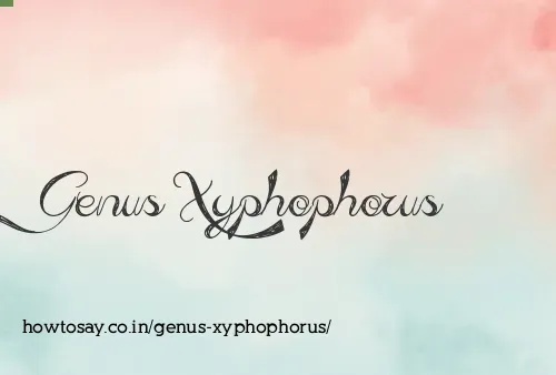Genus Xyphophorus