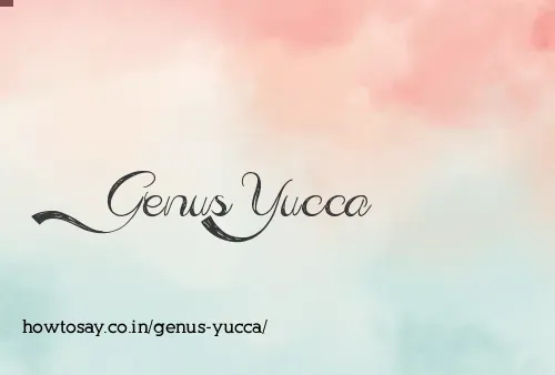 Genus Yucca