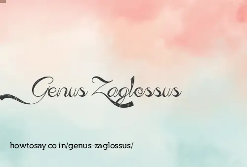 Genus Zaglossus