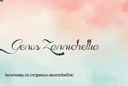 Genus Zannichellia