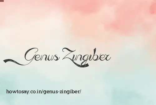 Genus Zingiber