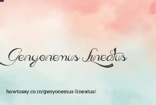 Genyonemus Lineatus