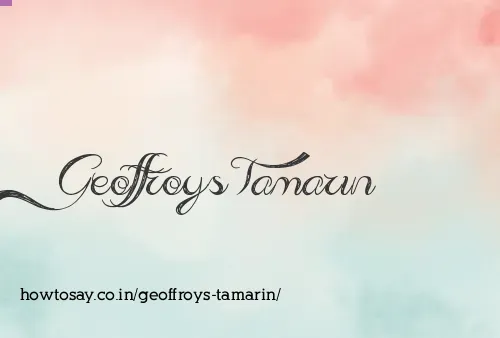 Geoffroys Tamarin