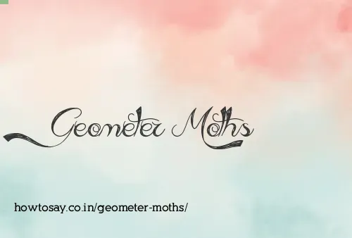 Geometer Moths