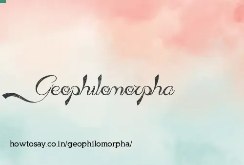 Geophilomorpha