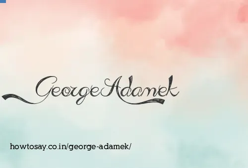 George Adamek