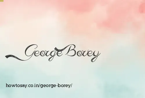 George Borey