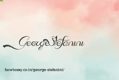 George Stefanini