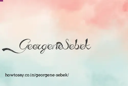 Georgene Sebek