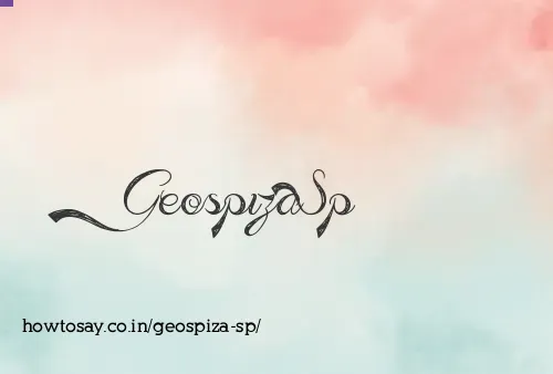 Geospiza Sp
