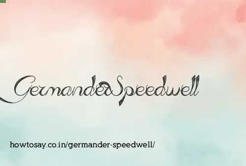 Germander Speedwell