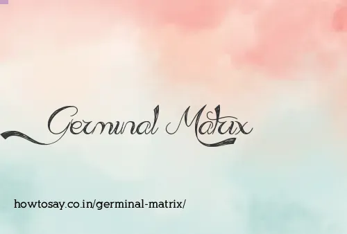 Germinal Matrix