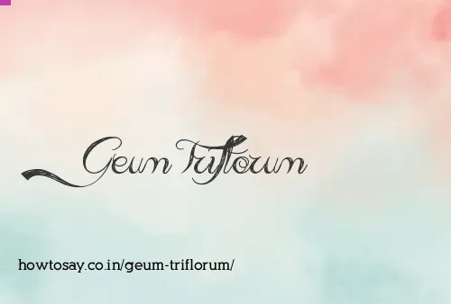 Geum Triflorum