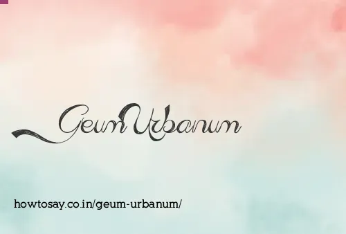 Geum Urbanum