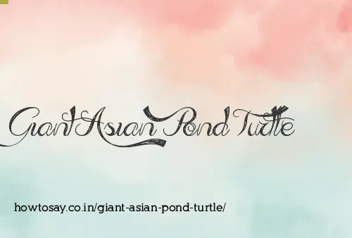 Giant Asian Pond Turtle