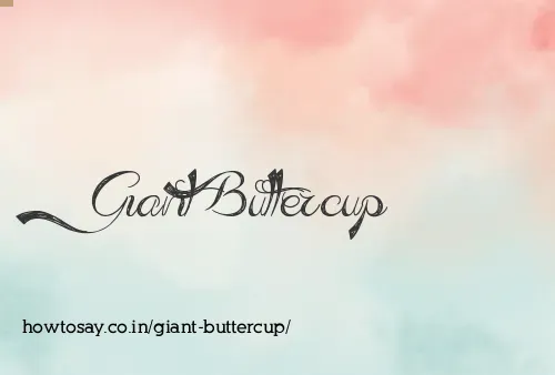 Giant Buttercup